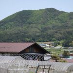 梅雨の晴れ間